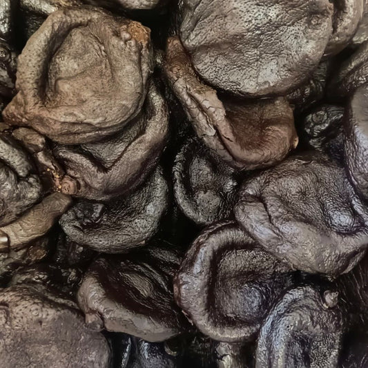 Fokussierte Ansicht fermentierter, schwarzer Zitronen