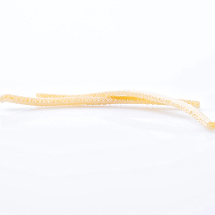 Nahaufnahme von Scialatielli Pasta