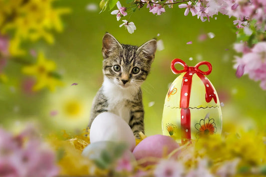 Hol dir jetzt 10% Osterrabatt - Nur für kurze Zeit