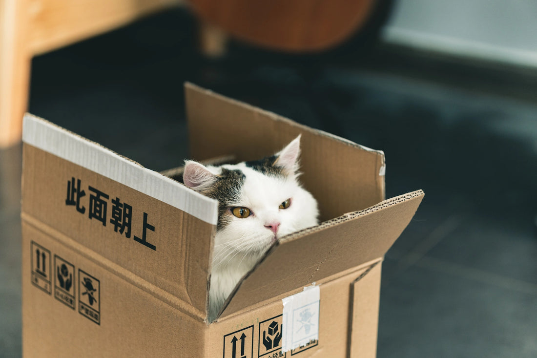 Paketversand nach Deutschland jetzt günstiger