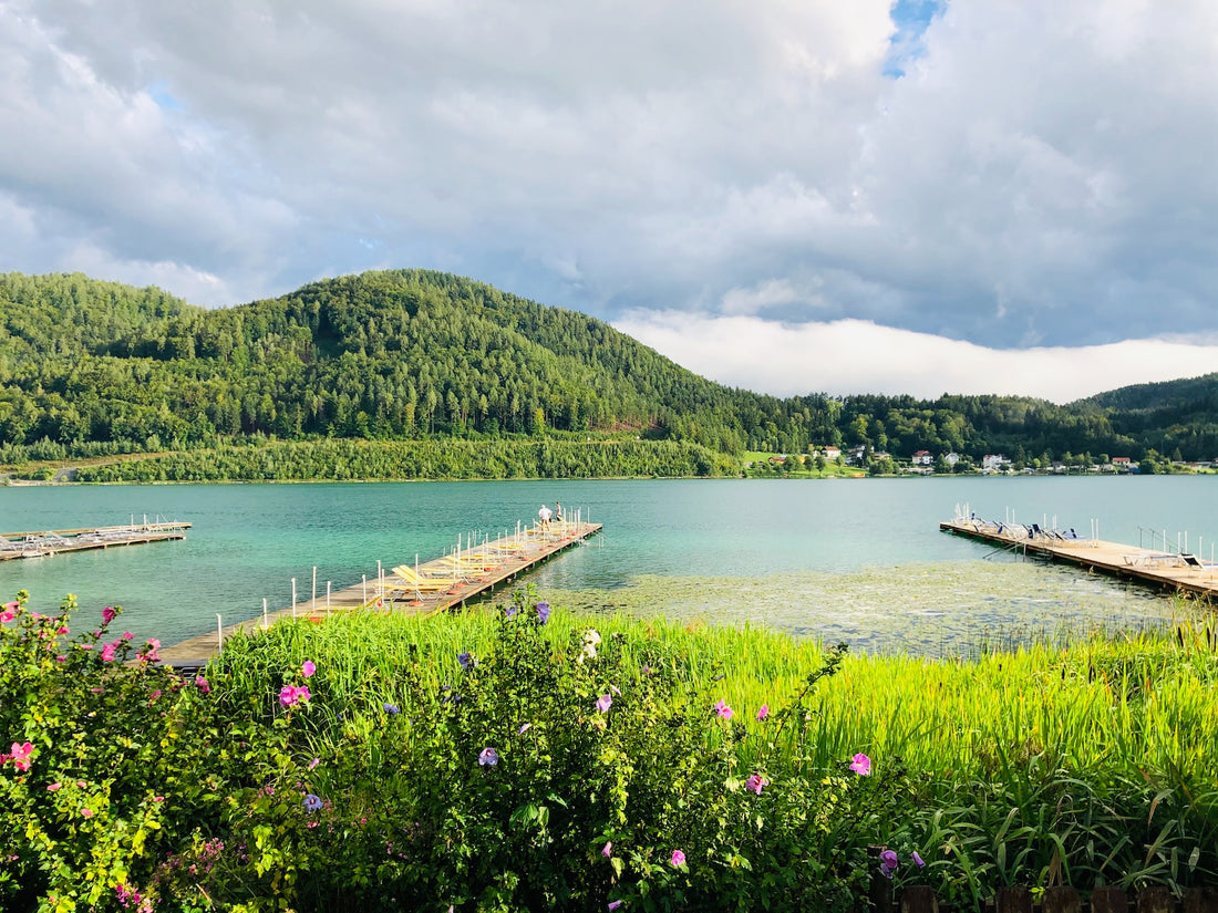 Delikatzi Gourmet Verkauf am Klopeiner See
