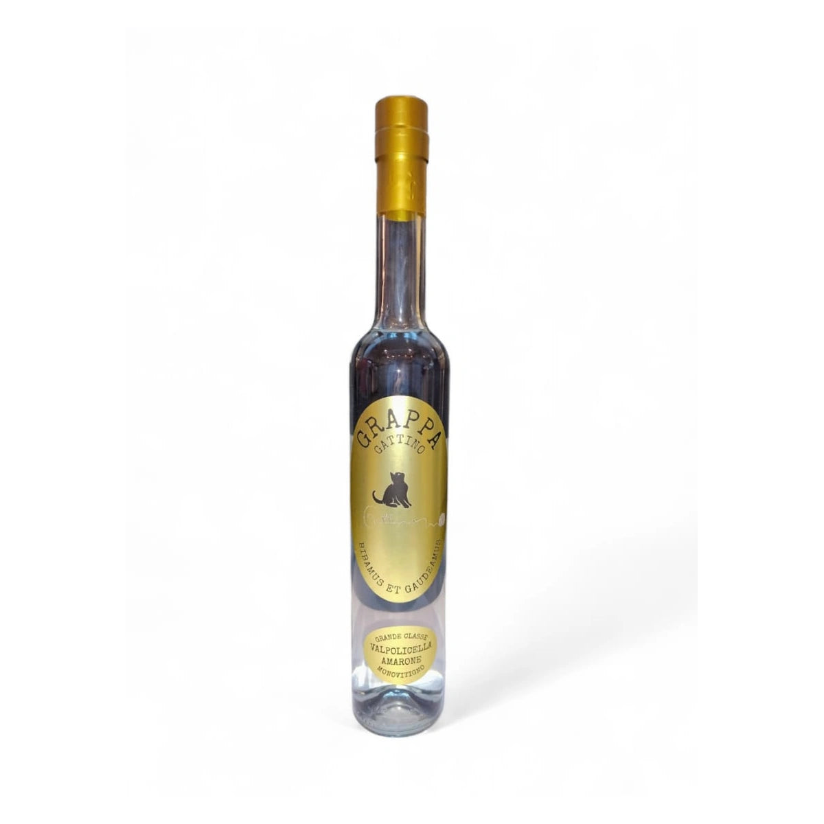 Grappa di Valpolicella Amarone